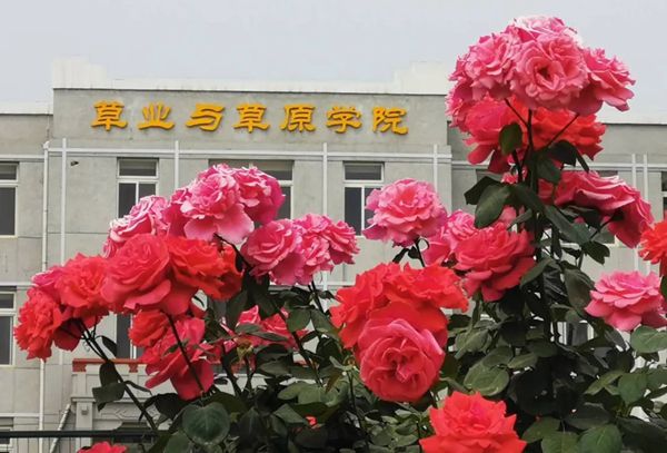 5970fc65ee024087982e3a618b79c5ec.jpg QQ图片20200729101708_副本.jpg