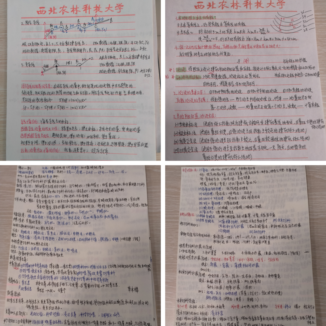 aefc97ca3f064643b274d37fecef20f5.png aefc97ca3f064643b274d37fecef20f5.png